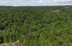 0 Oak Bend, Cecil, AR 72930