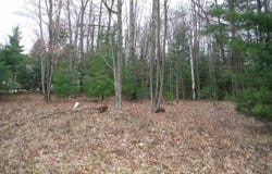Indian Oaks Lot 19, Prudenville, MI 48651