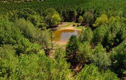 Hwy. 31, Romance, AR 72136-0000