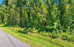 5236 Forrest Avenue, Bay Saint Louis, MS 39520