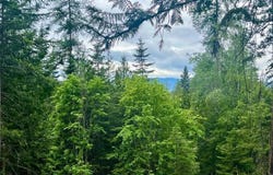 191 Sunset View Ln, Hope, ID 83836