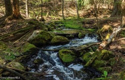 NNA Garfield Bay Rd, Sagle, ID 83860