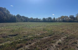 Industrial Park Road, Winona, MS 38967