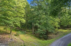OLD POPLAR Drive lot: 46, BAKER, WV 26801