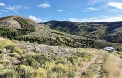 Larkspur, Pocatello, ID 83204