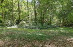 2009 Mccarthy Street, Raleigh, NC 27608