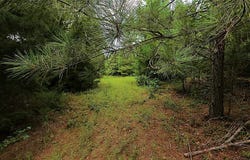 CR 1640, Jefferson, TX 75657