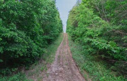 001 S 52nd Road, Dunnegan, MO 65640