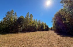 Hwy 14 E, Selma, AL 36701