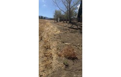 21200 Delmar Avenue, Tehachapi, CA 93561