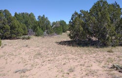 61 Spring Drive, Concho, AZ 85924