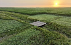 Oak Avenue, Bagley, IA 50023