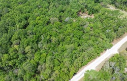208 Street Street 139 Drive, O Brien, FL 32071