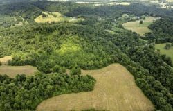 1990 State Highway 556, Sandy Hook, KY 41171