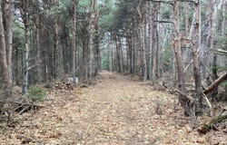 2510 W Winston Road, Rothbury, MI 49452
