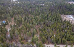Forest Road, Troy, MT 59935