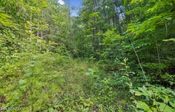 Ridge Rd, Lancing, TN 37770