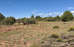 494se N Nirvana Way, Ash Fork, AZ 86320