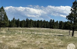 77 Treetop Road, Roundup, MT 59072
