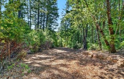 Maple Basin Road, Philo, CA 95466