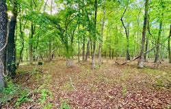 Tr 1 Nc-39, Zebulon, NC 27597