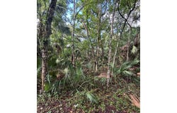 NE 83rd Ave, Old Town, FL 32680