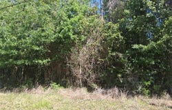Clearview Drive, Theodore, AL 36582