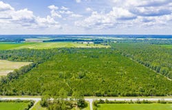 County Road 87, Elberta, AL 36530