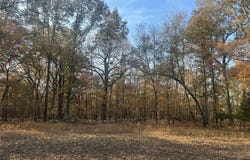 FM 44, Annona, TX 75550