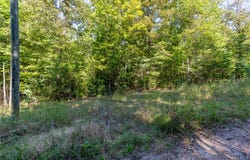 Singing Oaks, Mountain Rest, SC 29664