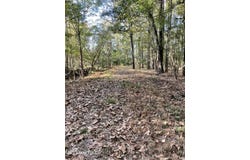 No E Lake Drive, Clinton, MS 39056