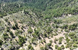 2510 FS, Hyampom, CA 96046