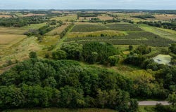 Finch Drive, Osseo, WI 54758