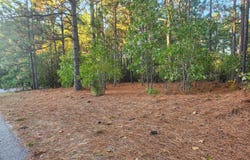 4 Brassie Circle, Jackson Springs, NC 27281