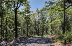 193 Hall Cemetery Road, Glenwood, AR 71943