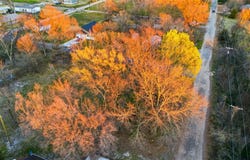 SE 1st, Cooper, TX 75432