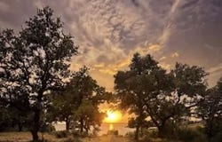4215 Sunset Cliff Rd, Burnet, TX 78611