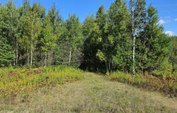 4602W HWY 70, Winter, WI 54896