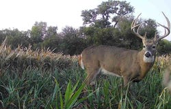 5th Rd, Raymond, KS 67573