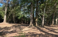 Z Hwy 84, Red Level, AL 36474
