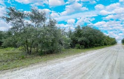 14250 SE 2ND Street, WILLISTON, FL 32696