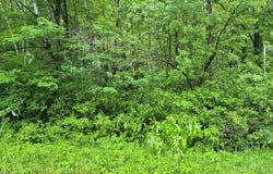 Willow Dr, Garrison, MN 56450