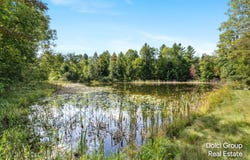 8172 S Frank Smith Road, Chase, MI 49623