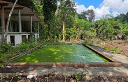 Morovis Norte, Morovis, PR 00687