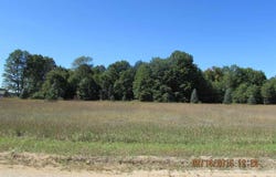201 KYLE DRIVE, KALKASKA, MI 49646