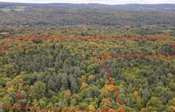 134 Page Rd, CHENANGO FORKS, NY 13746
