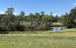 Tradewinds Drive, Gautier, MS 39553