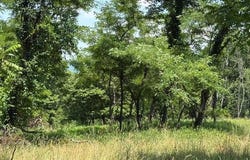 FOX RUN lot: 24A 3.22 Ac, BAKER, WV 26801