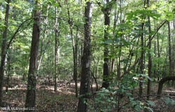 10 Star Landing Road, Nesbit, MS 38651