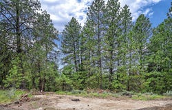 1497 Pine Ridge Dr, Cascade, ID 83611